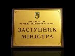 Диплом "Заступник міністра"