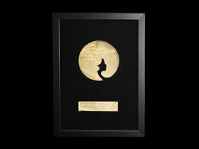 Диплом "DMK Ukraine awards"