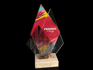 Award "Pronail Party"