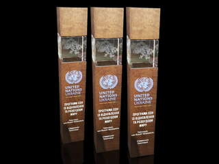 Award "United Nations Ukraine"